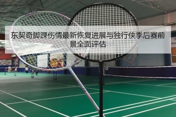 东契奇脚踝伤情最新恢复进展与独行侠季后赛前景全面评估