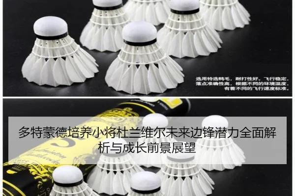 多特蒙德培养小将杜兰维尔未来边锋潜力全面解析与成长前景展望