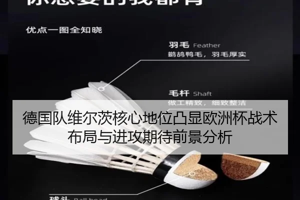 德国队维尔茨核心地位凸显欧洲杯战术布局与进攻期待前景分析